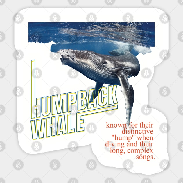 Alaska Whale Watching Sticker by TeeText